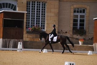 Le dressage